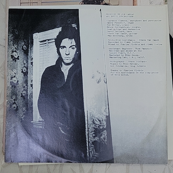 Bruce Springsteen Vinyl - Picture 3 of 7